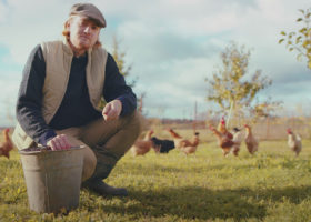 SAARE MAHE PÕHIPILT