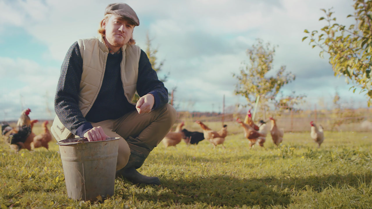 SAARE MAHE PÕHIPILT