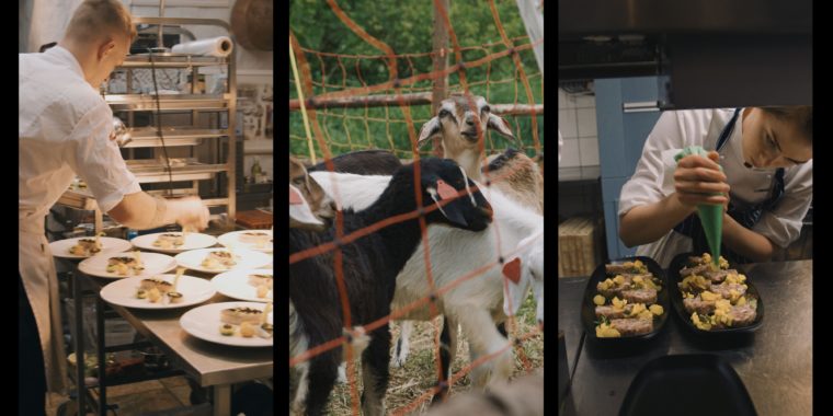 ERM Tippkokad kino 02